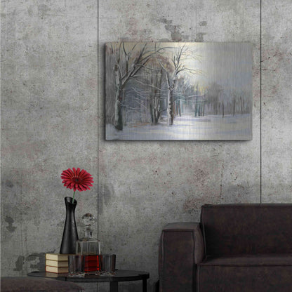 Luxe Metal Art 'Winter In The Park' by Carol Rowan, Metal Wall Art,36x24