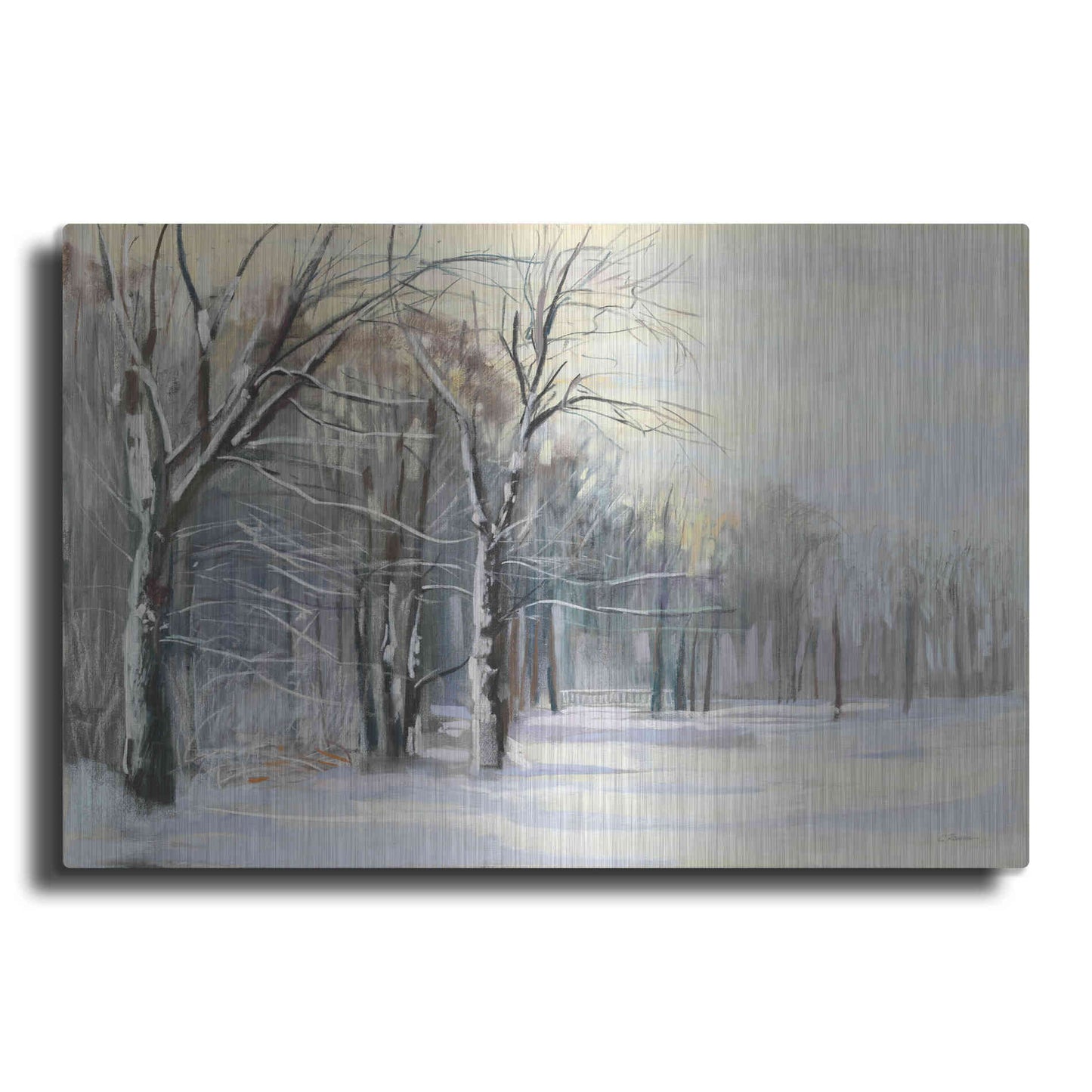 Luxe Metal Art 'Winter In The Park' by Carol Rowan, Metal Wall Art