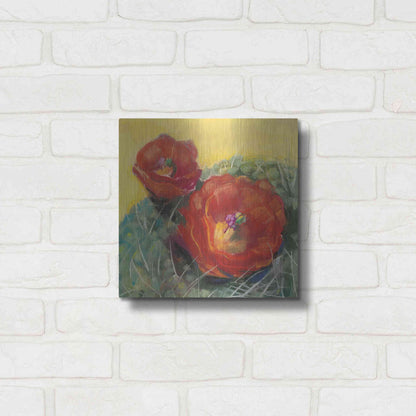 Luxe Metal Art 'Blooming Succulent I' by Carol Rowan, Metal Wall Art,12x12