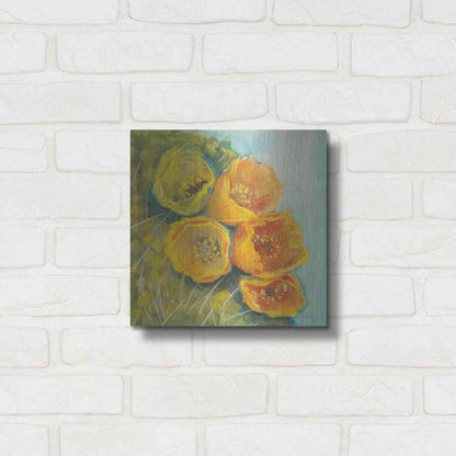 Luxe Metal Art 'Blooming Succulent II' by Carol Rowan, Metal Wall Art,12x12