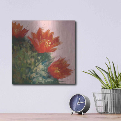 Luxe Metal Art 'Blooming Succulent IV' by Carol Rowan, Metal Wall Art,12x12