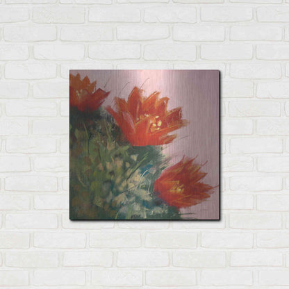 Luxe Metal Art 'Blooming Succulent IV' by Carol Rowan, Metal Wall Art,24x24