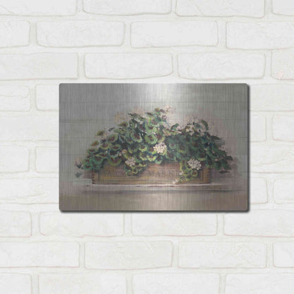Luxe Metal Art 'Market Geraniums Farmers Market Crop' by Carol Rowan, Metal Wall Art,16x12