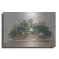 Luxe Metal Art 'Market Geraniums Farmers Market Crop' by Carol Rowan, Metal Wall Art
