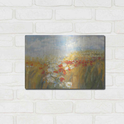 Luxe Metal Art 'Poppies And Larkspur' by Carol Rowan, Metal Wall Art,16x12