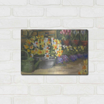 Luxe Metal Art 'Spring Daffodils' by Carol Rowan, Metal Wall Art,16x12