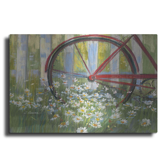 Luxe Metal Art 'Bicycle By The Fence Crop' by Carol Rowan, Metal Wall Art
