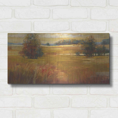 Luxe Metal Art 'October Light Golden Sky' by Carol Rowan, Metal Wall Art,24x12