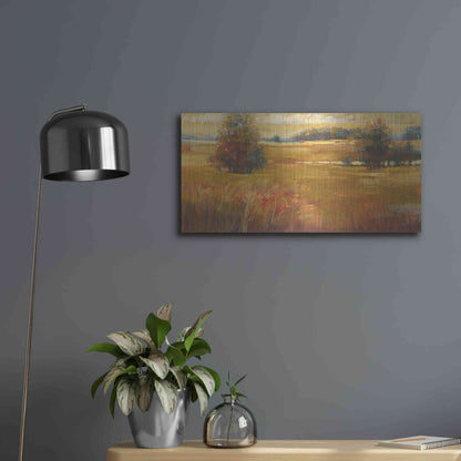 Luxe Metal Art 'October Light Golden Sky' by Carol Rowan, Metal Wall Art,24x12
