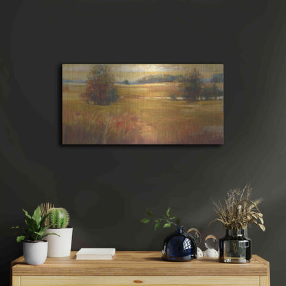 Luxe Metal Art 'October Light Golden Sky' by Carol Rowan, Metal Wall Art,24x12