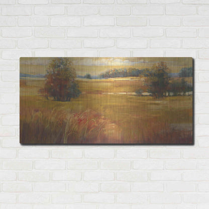 Luxe Metal Art 'October Light Golden Sky' by Carol Rowan, Metal Wall Art,48x24