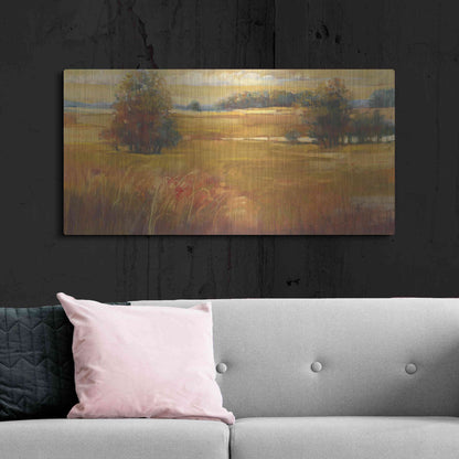 Luxe Metal Art 'October Light Golden Sky' by Carol Rowan, Metal Wall Art,48x24