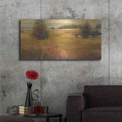 Luxe Metal Art 'October Light Golden Sky' by Carol Rowan, Metal Wall Art,48x24