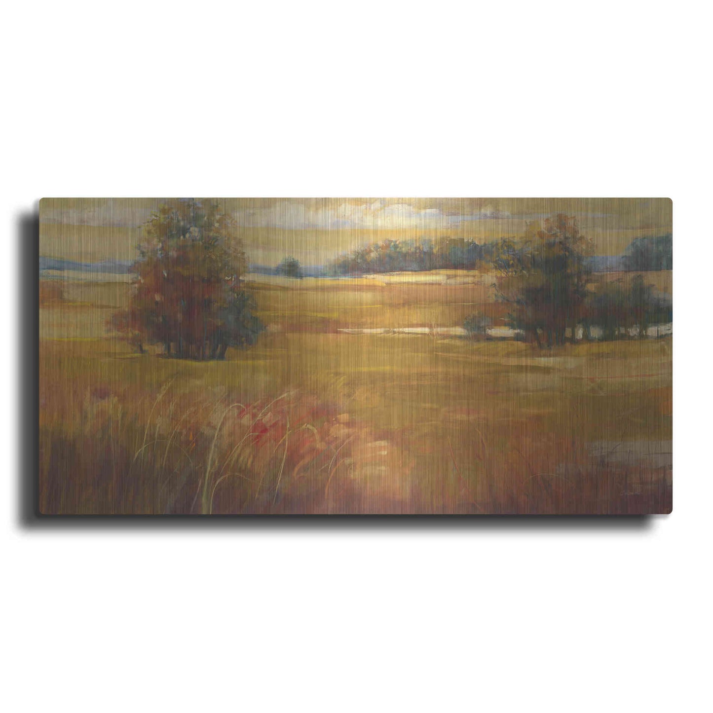 Luxe Metal Art 'October Light Golden Sky' by Carol Rowan, Metal Wall Art