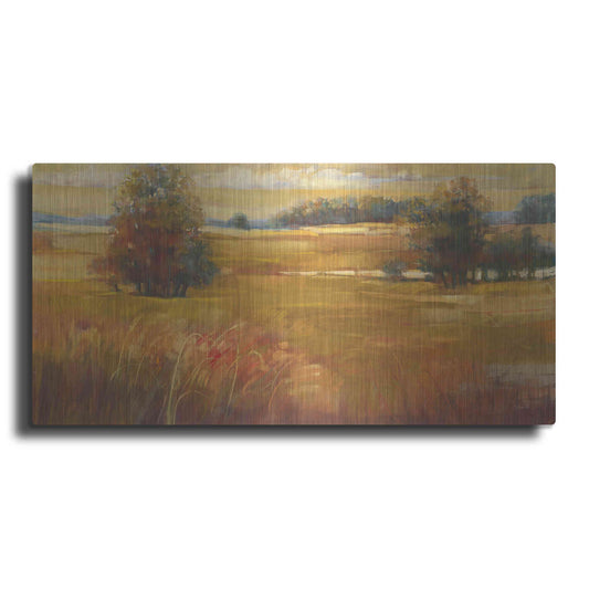 Luxe Metal Art 'October Light Golden Sky' by Carol Rowan, Metal Wall Art