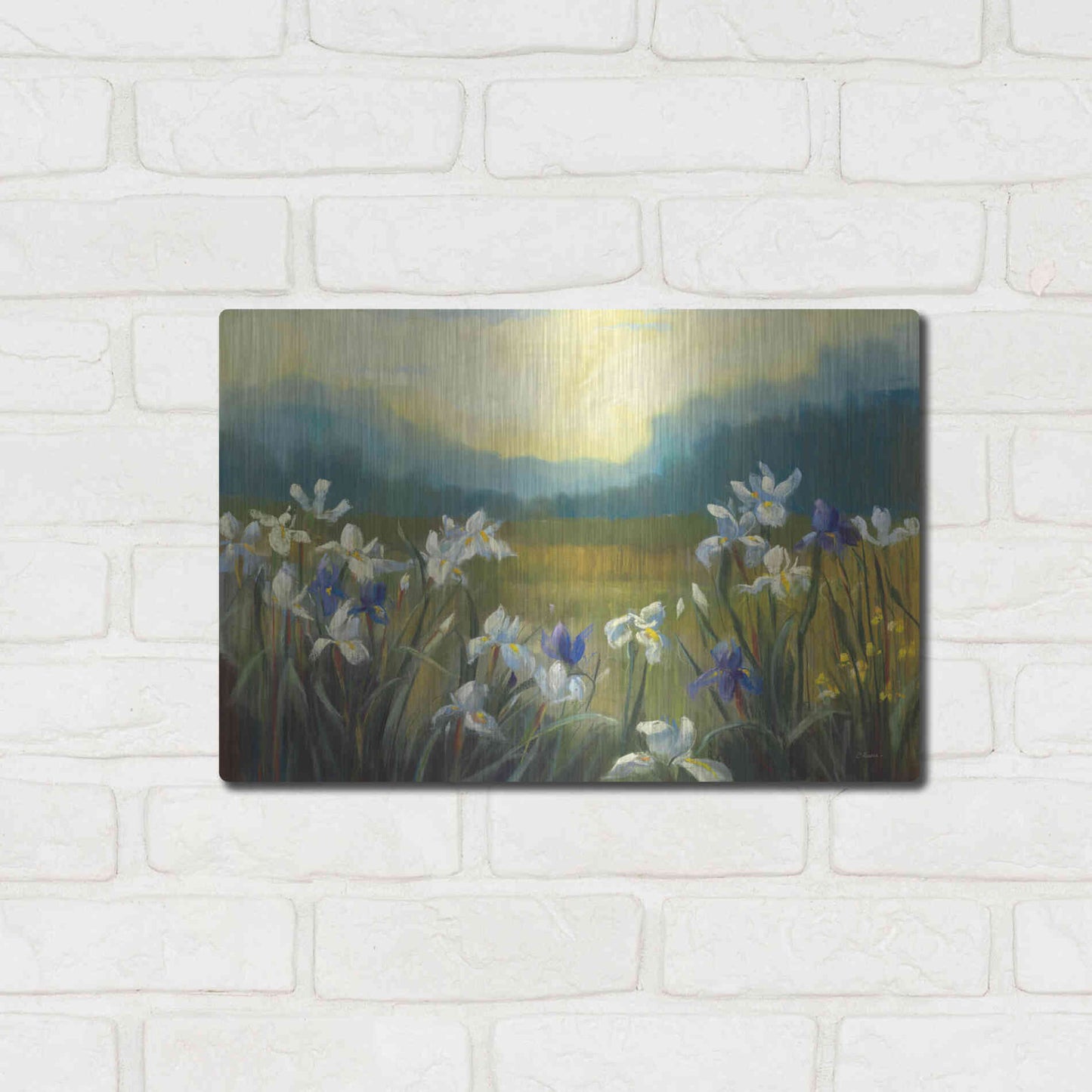 Luxe Metal Art 'Wild Iris' by Carol Rowan, Metal Wall Art,16x12