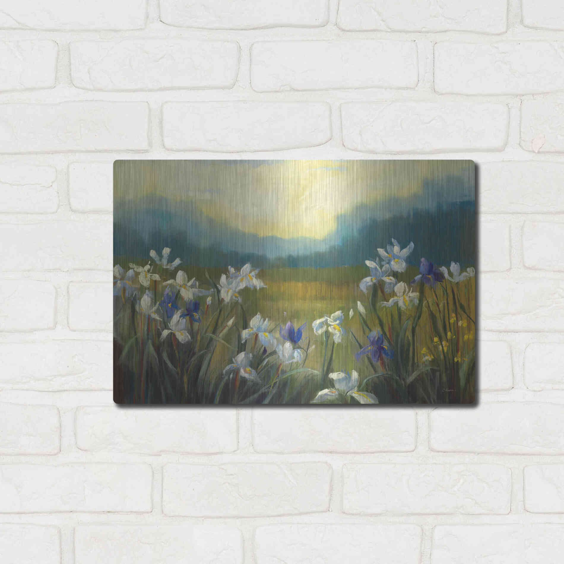Luxe Metal Art 'Wild Iris' by Carol Rowan, Metal Wall Art,16x12