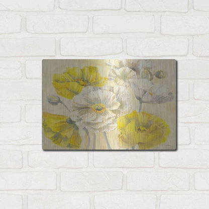 Luxe Metal Art 'Comtemporary Poppies II V2' by Carol Rowan, Metal Wall Art,16x12