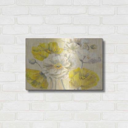 Luxe Metal Art 'Comtemporary Poppies II V2' by Carol Rowan, Metal Wall Art,24x16