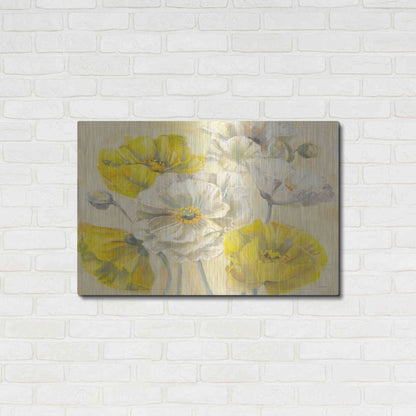 Luxe Metal Art 'Comtemporary Poppies II V2' by Carol Rowan, Metal Wall Art,36x24