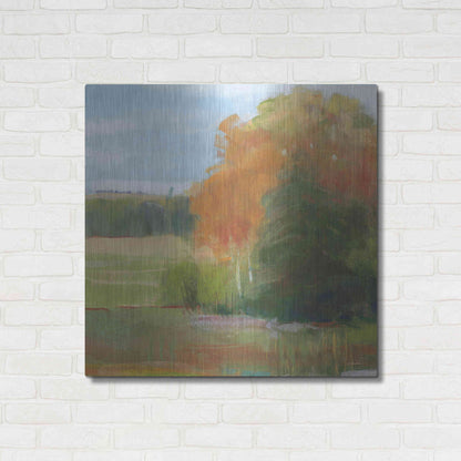 Luxe Metal Art 'Abstract Field II Bright Blue Sky' by Carol Rowan, Metal Wall Art,36x36