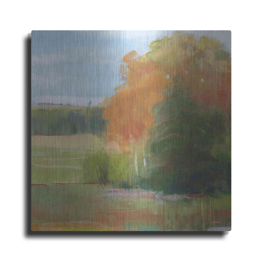 Luxe Metal Art 'Abstract Field II Bright Blue Sky' by Carol Rowan, Metal Wall Art