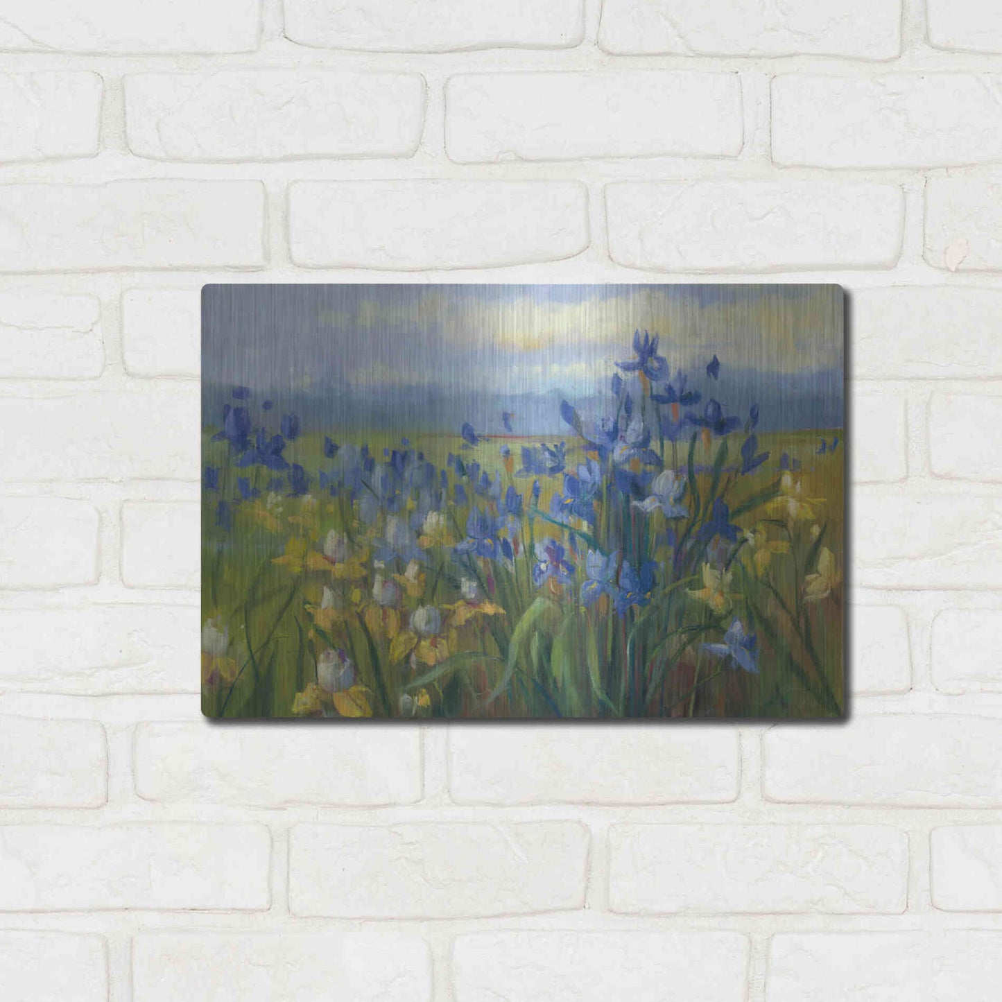 Luxe Metal Art 'Blue And Yellow Flower Field V2' by Carol Rowan, Metal Wall Art,16x12
