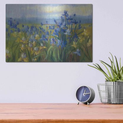 Luxe Metal Art 'Blue And Yellow Flower Field V2' by Carol Rowan, Metal Wall Art,16x12