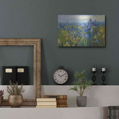 Luxe Metal Art 'Blue And Yellow Flower Field V2' by Carol Rowan, Metal Wall Art,16x12