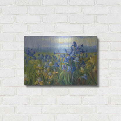 Luxe Metal Art 'Blue And Yellow Flower Field V2' by Carol Rowan, Metal Wall Art,24x16