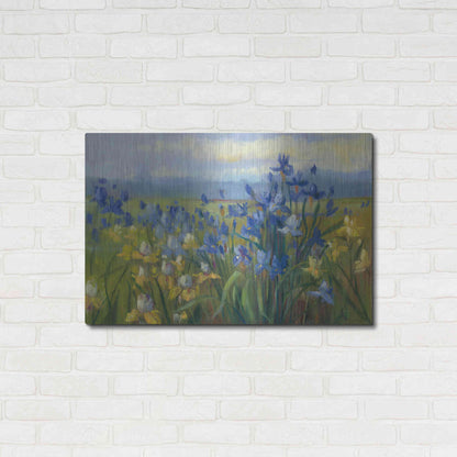 Luxe Metal Art 'Blue And Yellow Flower Field V2' by Carol Rowan, Metal Wall Art,36x24
