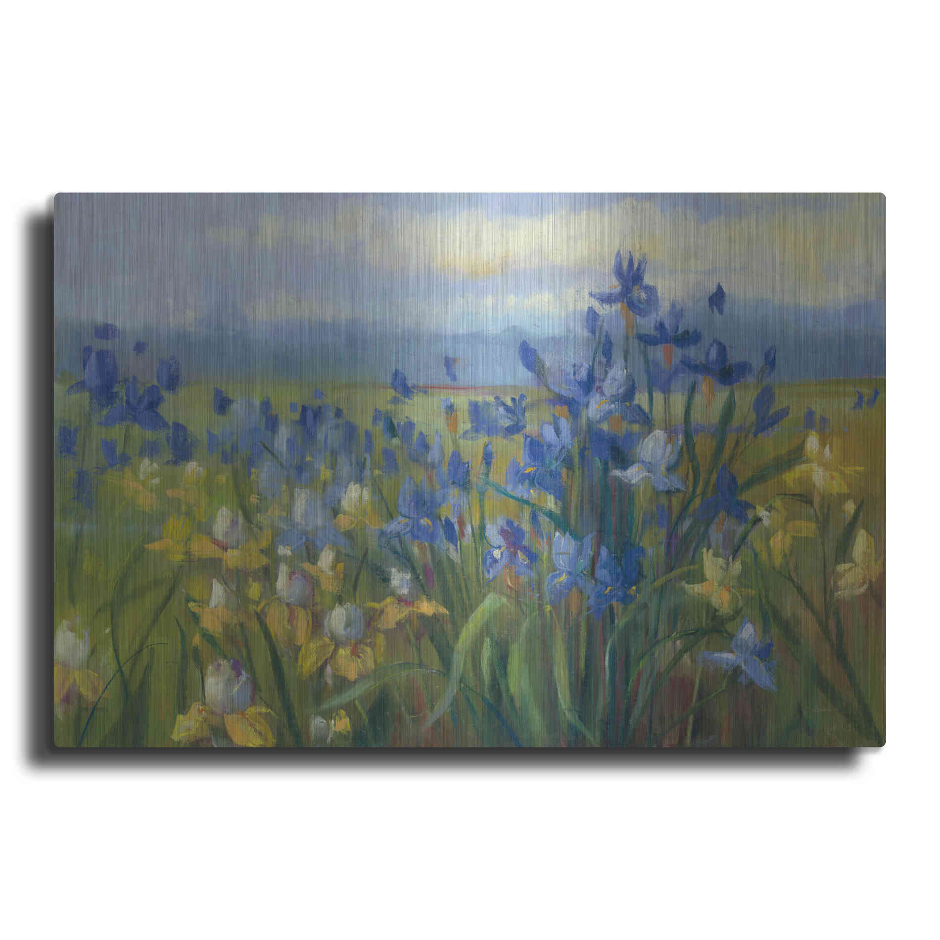 Luxe Metal Art 'Blue And Yellow Flower Field V2' by Carol Rowan, Metal Wall Art