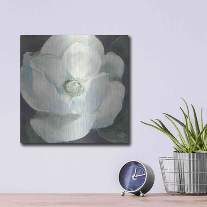 Luxe Metal Art 'Magnolia II Sage' by Carol Rowan, Metal Wall Art,12x12