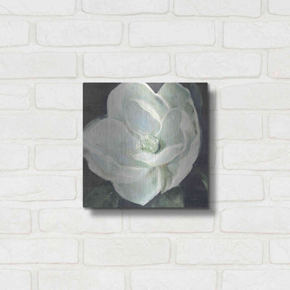 Luxe Metal Art 'Magnolia III Sage' by Carol Rowan, Metal Wall Art,12x12