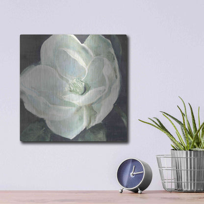 Luxe Metal Art 'Magnolia III Sage' by Carol Rowan, Metal Wall Art,12x12