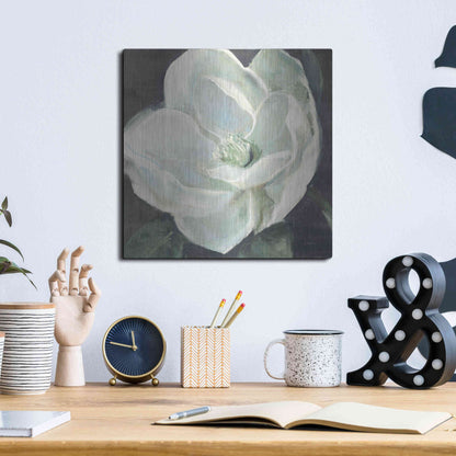 Luxe Metal Art 'Magnolia III Sage' by Carol Rowan, Metal Wall Art,12x12