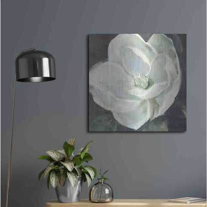Luxe Metal Art 'Magnolia III Sage' by Carol Rowan, Metal Wall Art,24x24