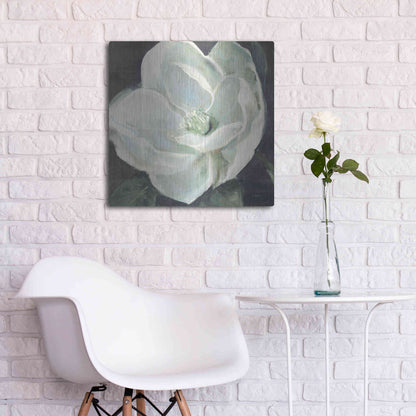 Luxe Metal Art 'Magnolia III Sage' by Carol Rowan, Metal Wall Art,24x24