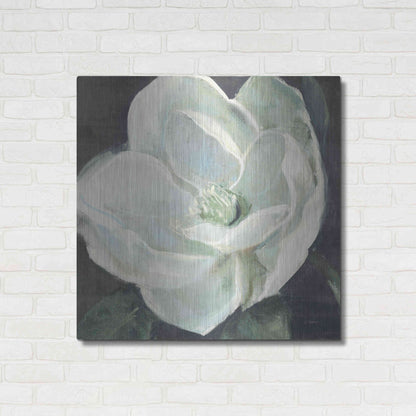 Luxe Metal Art 'Magnolia III Sage' by Carol Rowan, Metal Wall Art,36x36