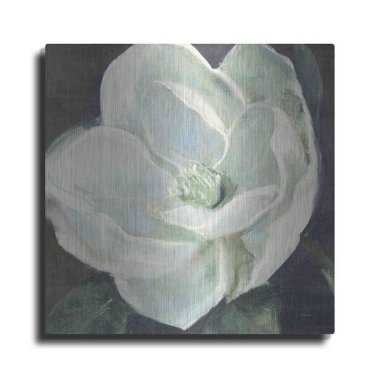 Luxe Metal Art 'Magnolia III Sage' by Carol Rowan, Metal Wall Art