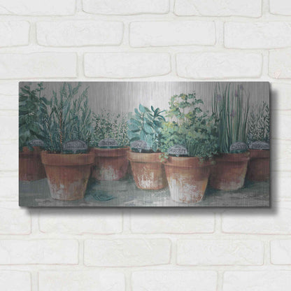 Luxe Metal Art 'Pots Of Herbs II Cottage' by Carol Rowan, Metal Wall Art,24x12