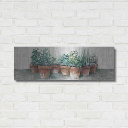 Luxe Metal Art 'Pots Of Herbs II Cottage V2' by Carol Rowan, Metal Wall Art,36x12