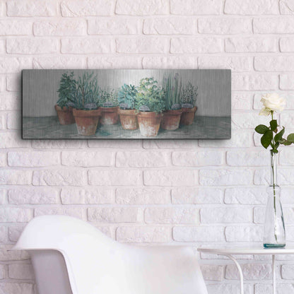 Luxe Metal Art 'Pots Of Herbs II Cottage V2' by Carol Rowan, Metal Wall Art,36x12