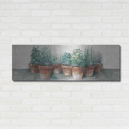 Luxe Metal Art 'Pots Of Herbs II Cottage V2' by Carol Rowan, Metal Wall Art,48x16