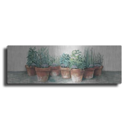 Luxe Metal Art 'Pots Of Herbs II Cottage V2' by Carol Rowan, Metal Wall Art