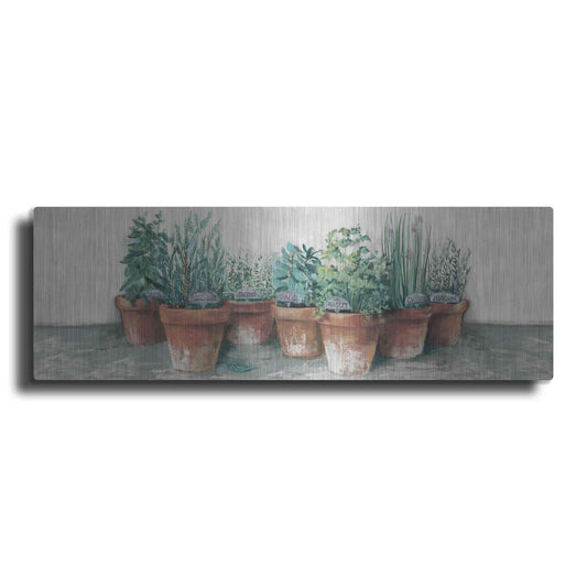 Luxe Metal Art 'Pots Of Herbs II Cottage V2' by Carol Rowan, Metal Wall Art
