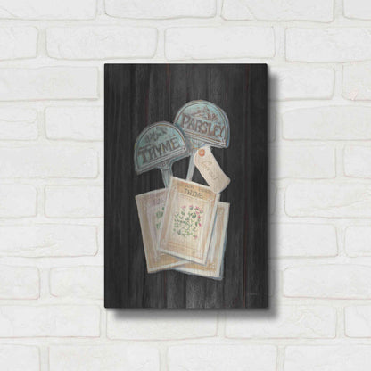 Luxe Metal Art 'Seed Packs Black Wood' by Carol Rowan, Metal Wall Art,12x16