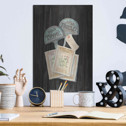 Luxe Metal Art 'Seed Packs Black Wood' by Carol Rowan, Metal Wall Art,12x16