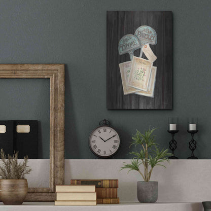 Luxe Metal Art 'Seed Packs Black Wood' by Carol Rowan, Metal Wall Art,12x16