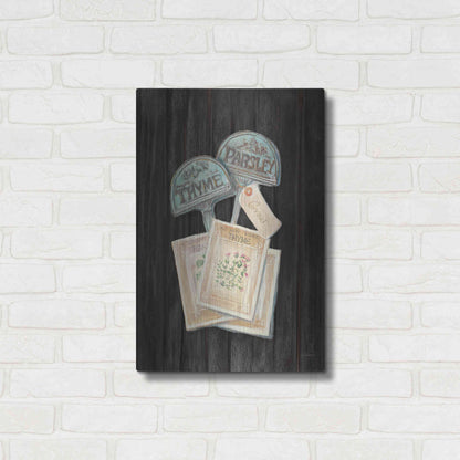 Luxe Metal Art 'Seed Packs Black Wood' by Carol Rowan, Metal Wall Art,16x24